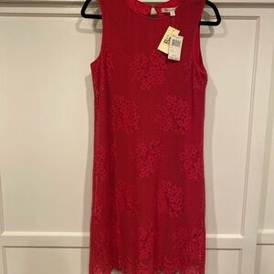 Max Studio Magenta Lace Design Knee Length Dress